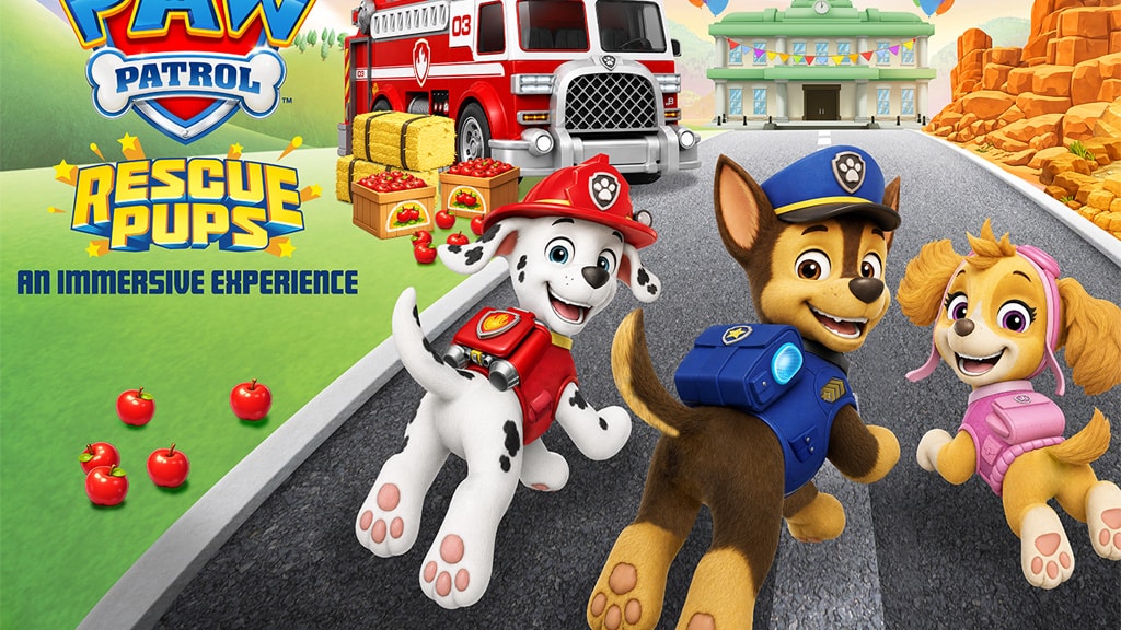 Zbierz swoją paczkę z pieskiem do tego nowego doświadczenia z PAW Patrol!