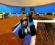 Roblox przyspiesza silniki na powrót Monster Jam