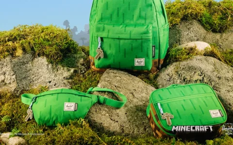 Ulepsz swój gamingowy sprzęt z kolekcją plecaków szkolnych Herschel Supply Minecraft!