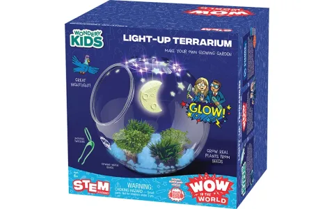 Moose Toys Bluey wywrotka