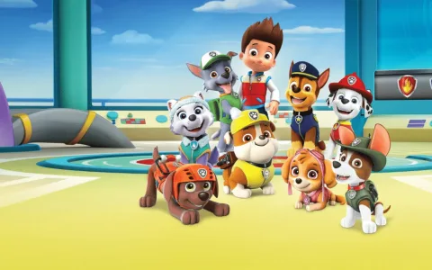 Zbierz swoją paczkę z pieskiem do tego nowego doświadczenia z PAW Patrol!