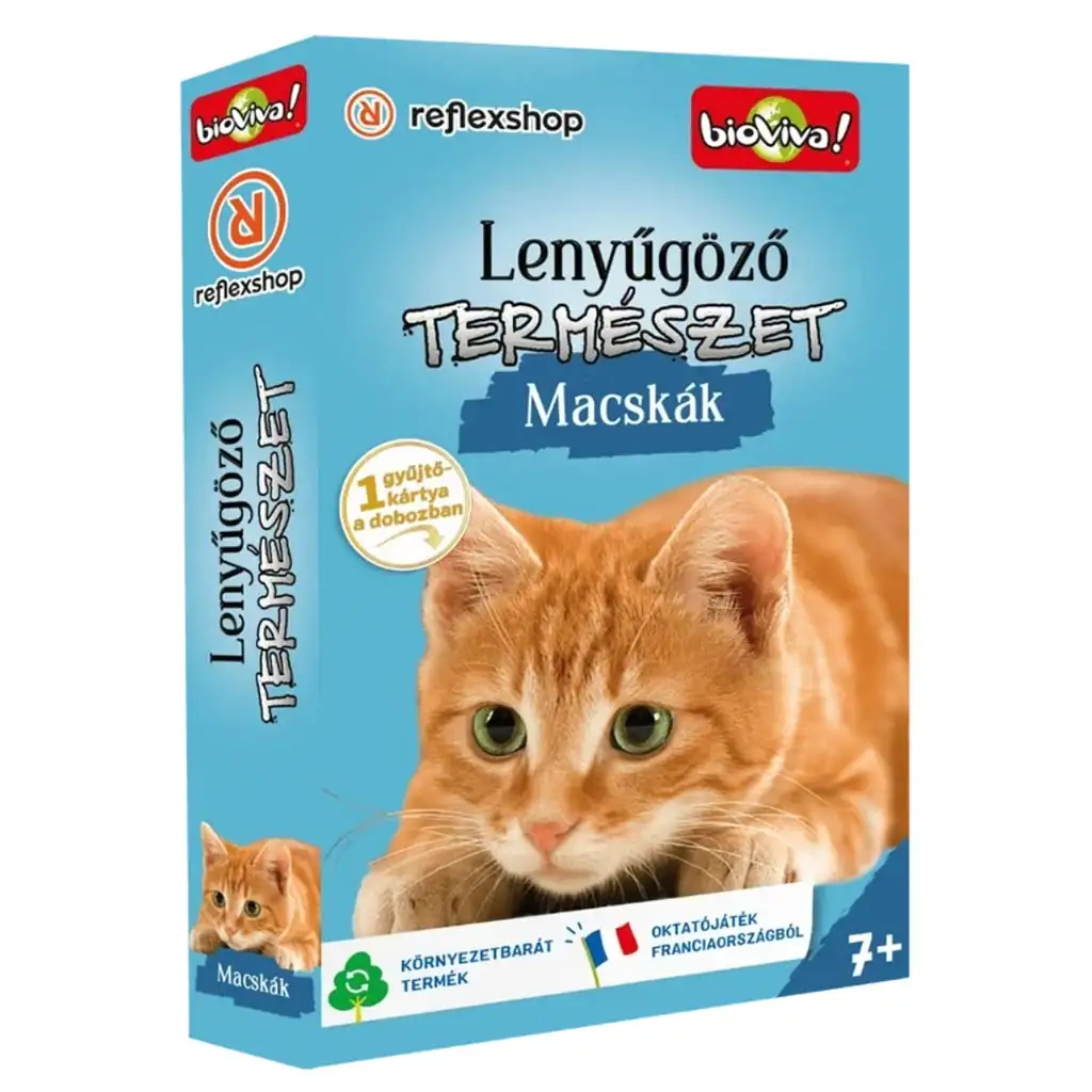 Zachwycająca natura - Gra karciana o kotach zdjęcie 1