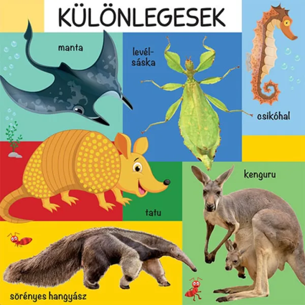 101 kolorowych obrazków o dzikich zwierzętach książeczka dla niemowląt zdjęcie 3