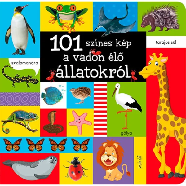 101 kolorowych obrazków o dzikich zwierzętach książeczka dla niemowląt zdjęcie 1