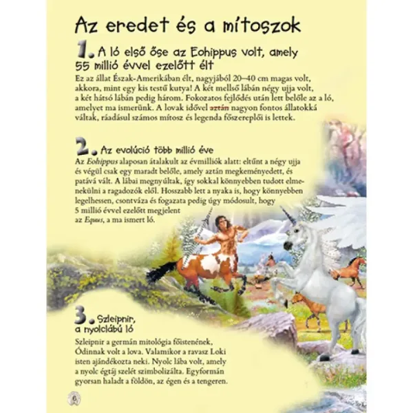 101 rzeczy, które warto wiedzieć o koniach książka popularnonaukowa zdjęcie 2