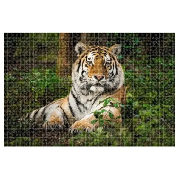 Animal Planet: Tygrys puzzle 1000 elementów zdjęcie 2