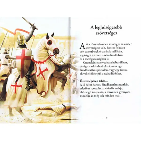 Czytaj z nami! (3) - Historia koni książka dla dzieci zdjęcie 2