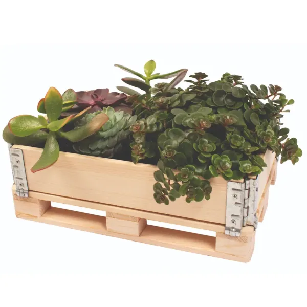 PlayBox: Skrzynka paletowa z drewna 18x28x8,65 cm zdjęcie 3