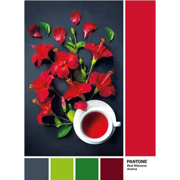 Puzzle Pantone Hibiskusowa Herbata 1000 elementów – Clementoni zdjęcie 2