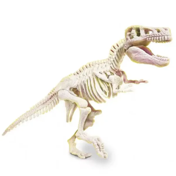 Science & Play: Zestaw archeologiczny T-Rex fluorescencyjny - Clementoni zdjęcie 3