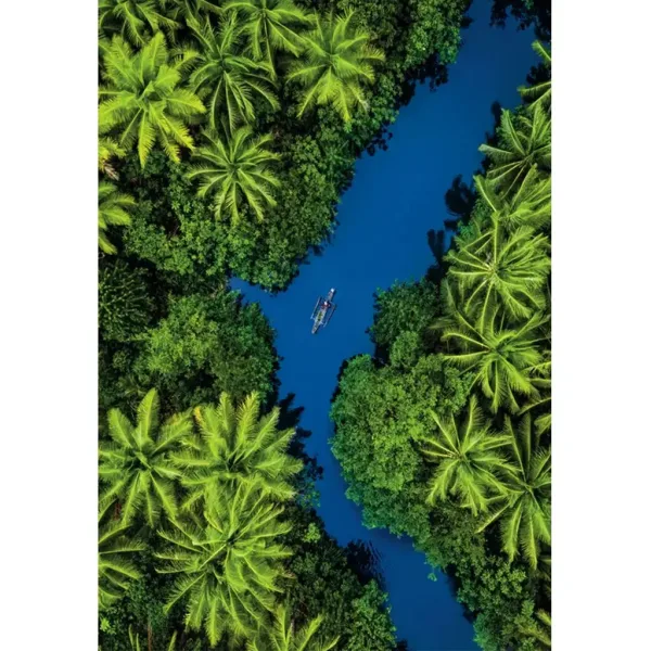 Tropikalna przygoda 500-elementowe puzzle HQC kompaktowe - Clementoni zdjęcie 2