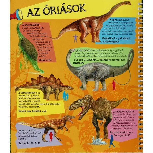 Z latarką – Śladami dinozaurów zdjęcie 3