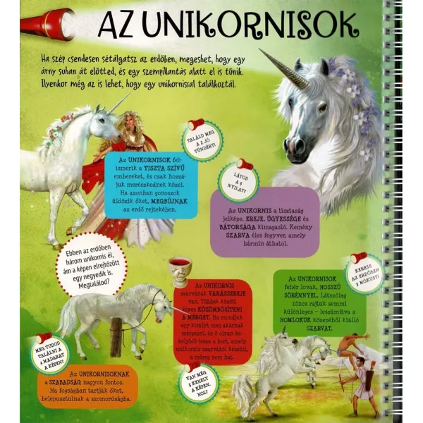 Z latarką – Śladami jednorożców zdjęcie 3