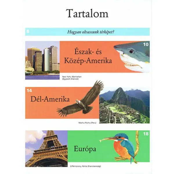 Ilustrowany atlas dla dzieci - Zwierzęta na świecie książka popularnonaukowa zdjęcie 2