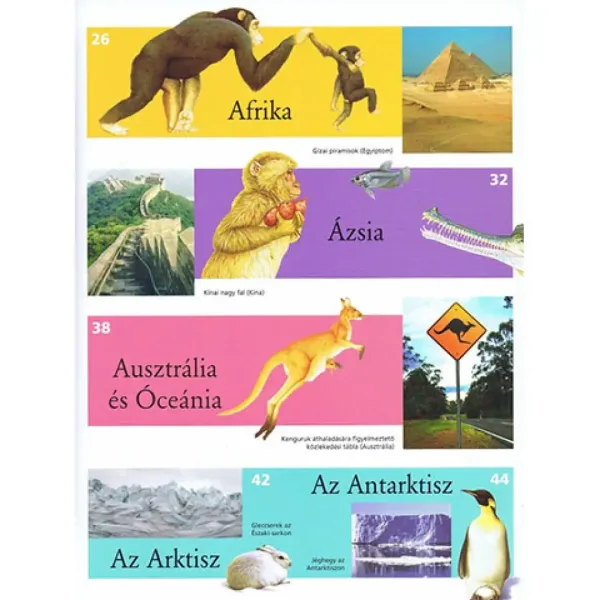 Ilustrowany atlas dla dzieci - Zwierzęta na świecie książka popularnonaukowa zdjęcie 3