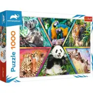 Animal Planet: Królestwa zwierząt 1000-elementowe puzzle - Trefl