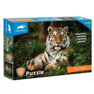 Animal Planet: Tygrys puzzle 1000 elementów