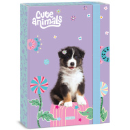 Ars Una: Cute animals - pudełko na zeszyty z psami rasy Aussie A4