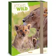 Ars Una: Icons of the Wild Lwy pudełko na zeszyty A4