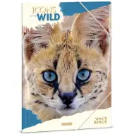 Ars Una: Icons of the wild teczka z gumką w serwale wzory A4