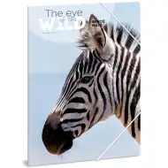 Ars Una: Máté Bence Oczy Dzikiej Przyrody - Zebra teczka A/4 z gumką