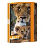 Ars Una: Máté Bence Spirit of Nature – Pudełko na zeszyty z lwem A/5