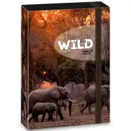 Ars Una: Máté Bence The Eyes of the Wild – Pudełko na zeszyty A/4 z motywem słonia