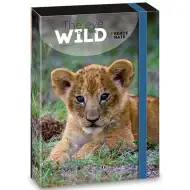 Ars Una: Máté Bence The Eyes of the Wild - Teczka z gumką A/4 Lew