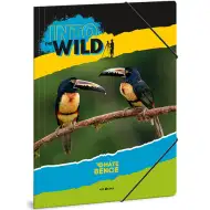 Ars Una: Máté Bence Toucan teczka gumowa A4