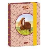 Ars Una: My Sweet Horse A5 teczka na zeszyty