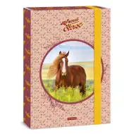 Ars Una: My Sweet Horse Jeździecki A4 pojemnik na zeszyty