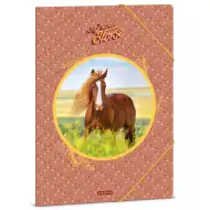 Ars Una: My Sweet Horse teczka z gumką A/4