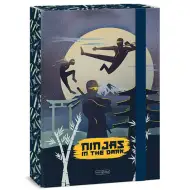Ars Una Ninjas in the dark gumowy segregator A/4