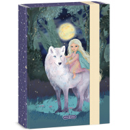 Ars Una: Northern Lights pudełko na zeszyty A5