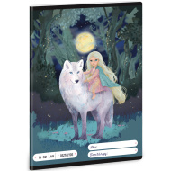 Ars Una: Northern Lights zeszyt w linie dla 2. klasy A/5 16-32