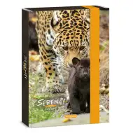 Ars Una: Serenity Jaguár teczka na zeszyty A5