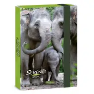 Ars Una: Serenity Słoniowy box na zeszyty A5