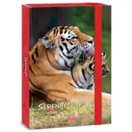 Ars Una: Serenity Tiger - pudło na zeszyty A4 z tygrysem, grubość grzbietu 4 cm