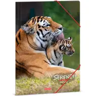 Ars Una: Serenity Tiger teczka gumowa, A4