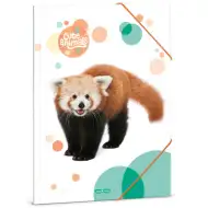 Ars Una: Słodkie Zwierzęta – Słodka czerwona panda, teczka na gumkę w formacie A4