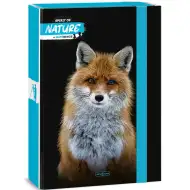 Ars Una: Spirit of Nature Lis A/4 pudełko na zeszyty