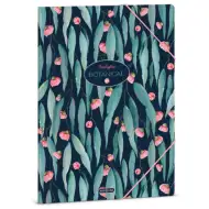 Ars Una: Teczka gumkowa Eucalyptus w formacie A4