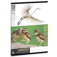 Ars Una: Wild Life zeszyt z ptakami A/5