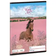 Ars Una: Wild and Free zeszyt gładki A5 z motywem koni