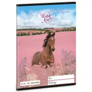 Ars Una: Wild and Free zeszyt w kratkę z końmi A5