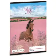 Ars Una: Wild and Free zeszyt w linie dla 2 klasy, format A/5
