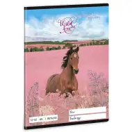 Ars Una: Wild and Free zeszyt w linie dla 3 klasy z motywem koni A/5
