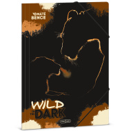 Ars Una: Wild in the dark — teczka z gumką z motywem lwów, rozmiar A4