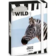 Ars Una: pudełko na zeszyty zebra Máté Bence A/5