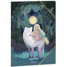 Ars Una: teczka z gumką Northern Lights, format A4
